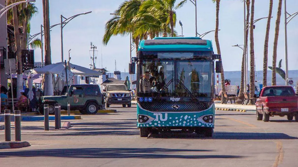 Tiburon Urbano llega en abril a la paz 1